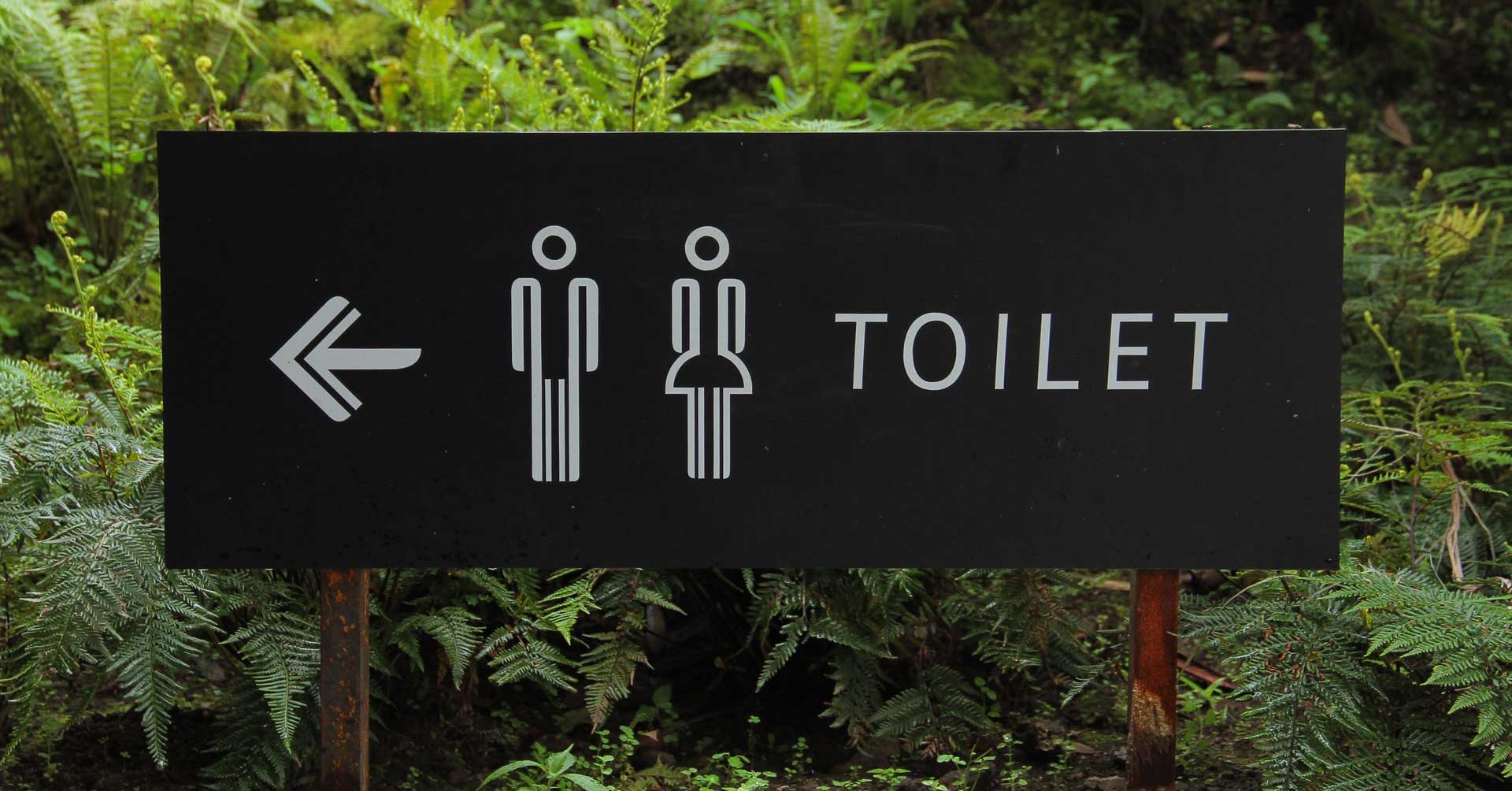 Fear of Urinating in Public